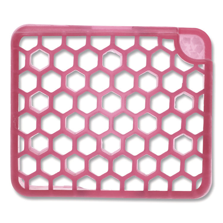 myfresh Refill, Spiced Apple, 6/Box