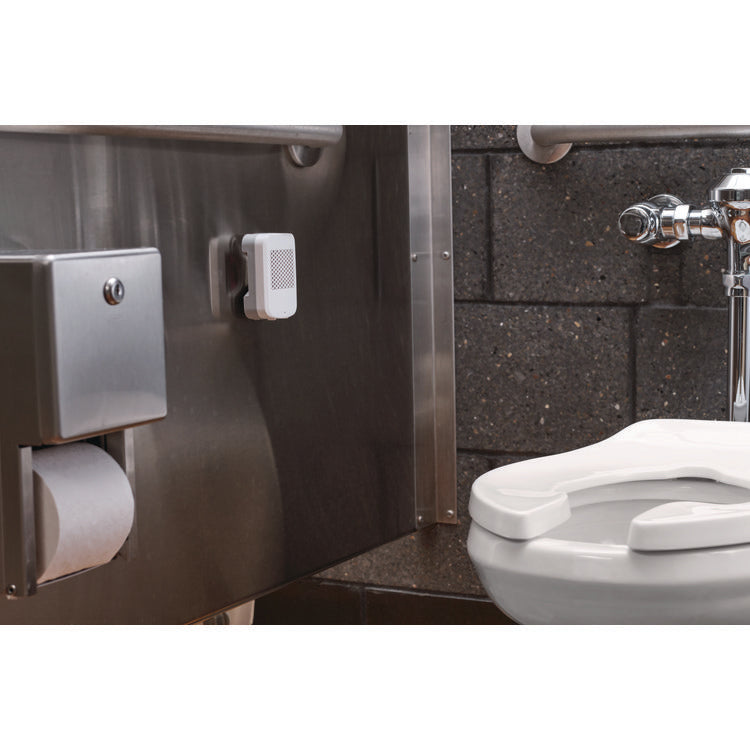 myfresh Refill, Mango, 6/Box