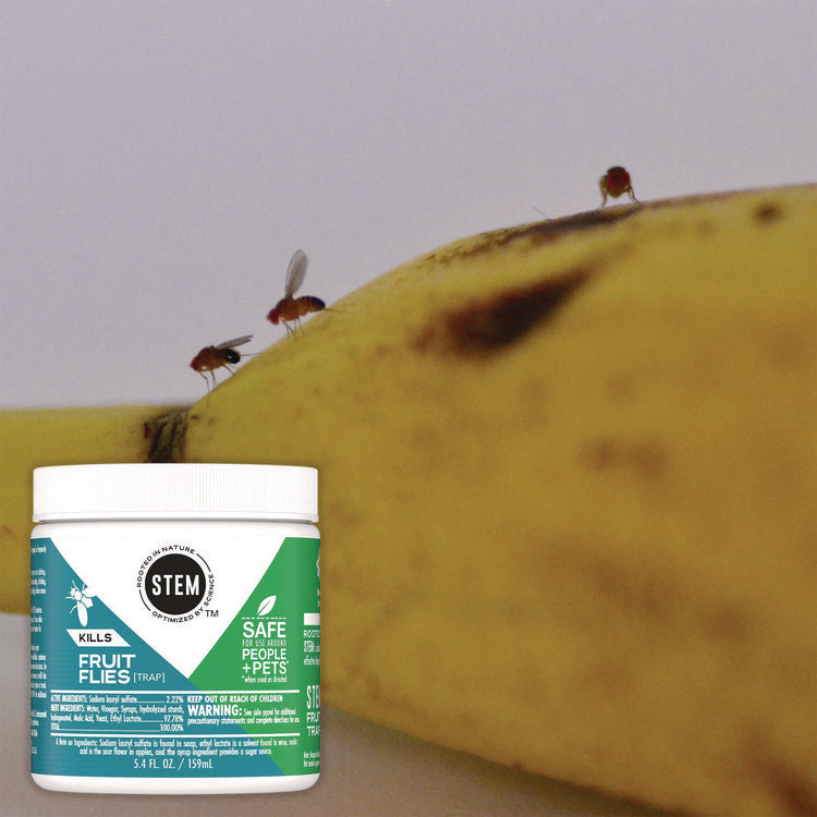 STEM Fruit Flies Trap, 5.4 oz Jar, 8/Carton