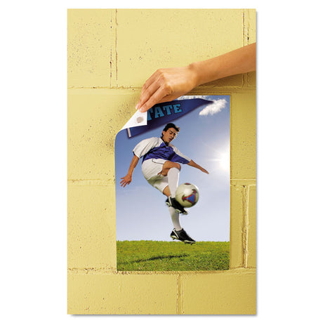 Adhesive Putty, Removable, 2 oz