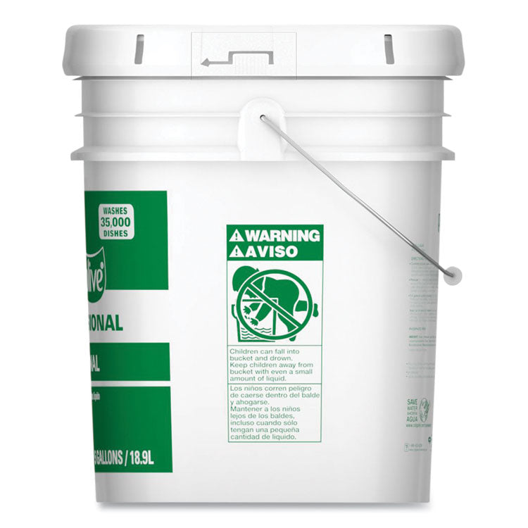Professional Dishwashing Liquid, Original Scent, 5 gal Pail
