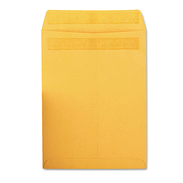 RediSeal Catalog Envelope, 10 1/2, Cheese Blade Flap, RediSeal Adhe