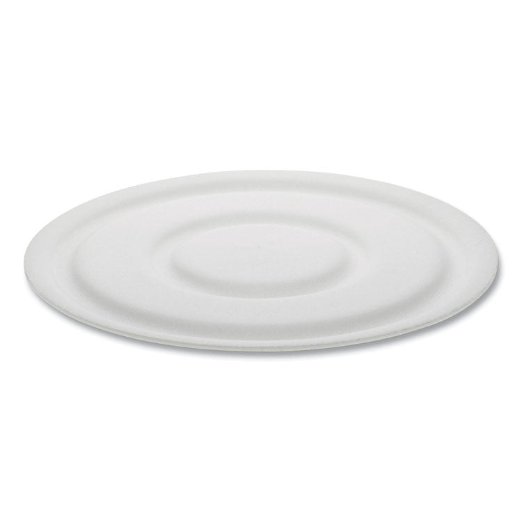 Cake Circle, 9  Diameter x 1 h, White, Foam, 125/Pack, 4 Packs/Carton