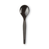 Plastic Cutlery, Heavyweight Soup Spoons, 5 3/4", Black, 1,000/Carton