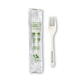 TPLA Compostable Cutlery, Fork, 6.3 , White, 750/Carton