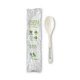 TPLA Compostable Cutlery, Spoon, 6 , White, 750/Carton