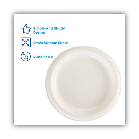 Paper Dinnerware, Plates, White, 8.5" dia, 125/Pack