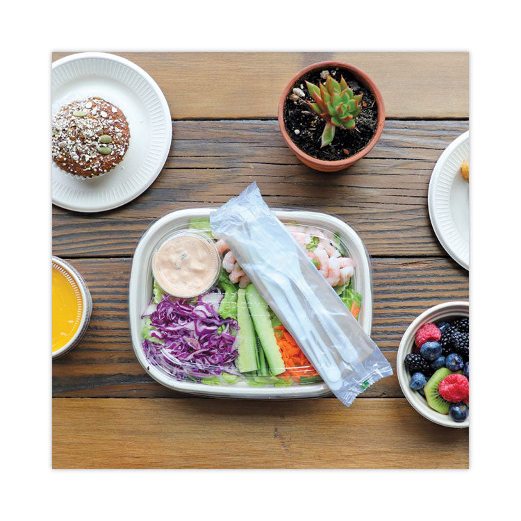 TPLA Compostable Cutlery, Knife/Fork/Spoon/Napkin, 6 , White, 250/Carton