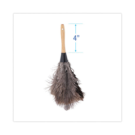 Professional Ostrich Feather Duster, 4" Handle