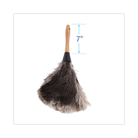 Professional Ostrich Feather Duster, 7" Handle