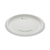 EarthChoice Pressware Compostable Dinnerware, Plate, 10  dia, White, 300/Carton