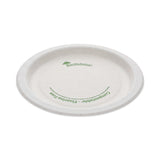 EarthChoice Pressware Compostable Dinnerware, Plate, 6  dia, White, 750/Carton