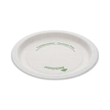 EarthChoice Pressware Compostable Dinnerware, Plate, 6  dia, White, 750/Carton