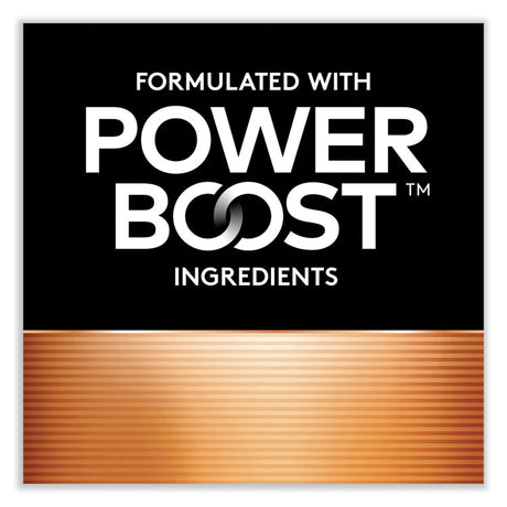 Power Boost CopperTop Alkaline AA Batteries, 8/Pack