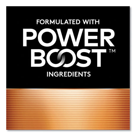 Power Boost CopperTop Alkaline AA Batteries, 10/Pack