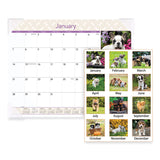 Puppies Monthly Desk Pad Calendar, Puppies Photography, 22 x 17, White Sheets, Clear Corners, 12-Month (Jan to Dec): 2025