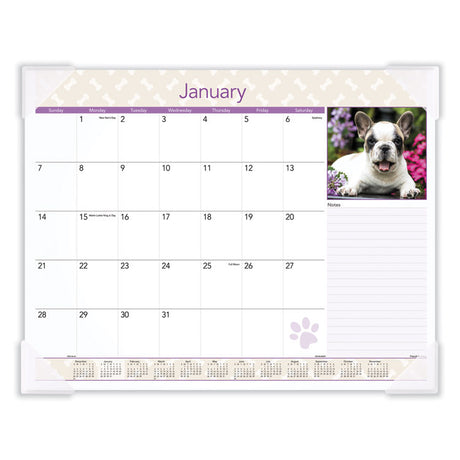 Puppies Monthly Desk Pad Calendar, Puppies Photography, 22 x 17, White Sheets, Clear Corners, 12-Month (Jan to Dec): 2025