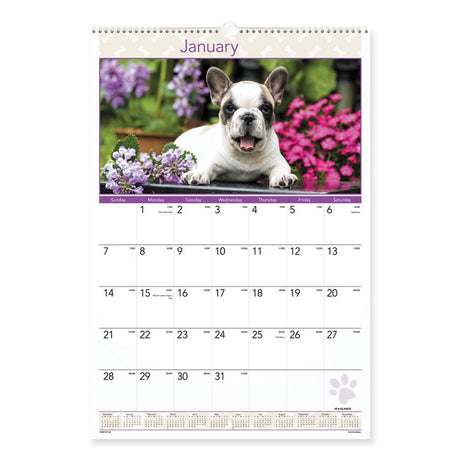 Puppies Monthly Wall Calendar, Puppies Photography, 15.5 x 22.75, White/Multicolor Sheets, 12-Month (Jan to Dec): 2025