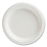 PFAS-Free Compostable Bagasse Plates, 6  dia, White, 250/Pack