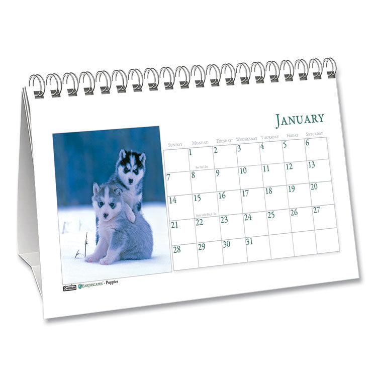 Earthscapes Recycled Desk Tent Monthly Calendar, Puppies Photography, 8.5 x 4.5, White Sheets, 12-Month (Jan to Dec): 2025