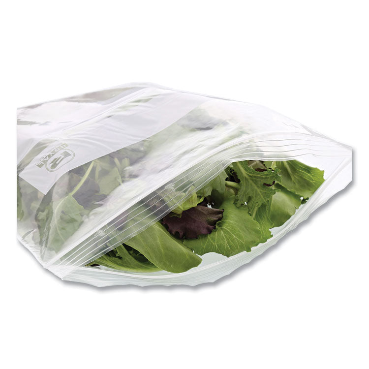 Zipper Bags, Gallon, 10.5  x 10.98 , Clear, 250/Carton