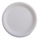 Vanguard Renewable and Compostable Sugarcane Plates, 6  dia, White, 1,000/Carton