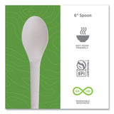 Plantware Compostable Cutlery, Spoon, 6", Pearl White, 50/Pack, 20 Pack/Carton