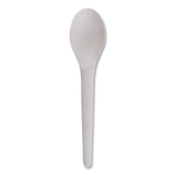 Plantware Compostable Cutlery, Spoon, 6 , White, 1,000/Carton